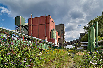 Neue Zeche Westerholt Fotografie seen by Martin Schmüdderich